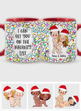 I Can Get You On The Naughty List - gift for husband, wife, boyfriend, girlfriend - Personalized Accent Mug